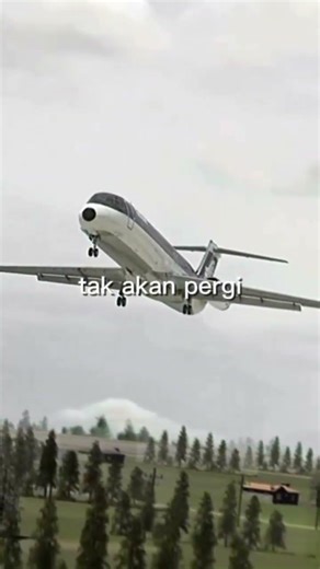 Southern Airways flight 242