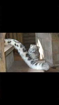 Growth and Prosperity type beat