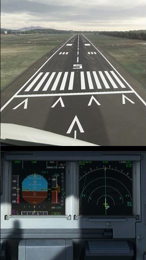 Microsoft Flight Simulator - LIEO Olbia