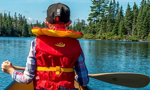 Logging in Algonquin park is just one example how Ontario is failing to protect nature