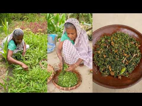 Komoli Shak Bhaja | Traditional Bengali Village Cooking Recipe