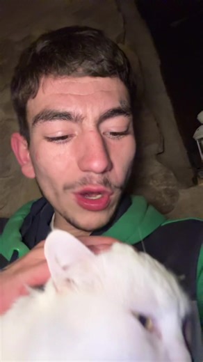 Cómo mejorar tu vida en el campo en España