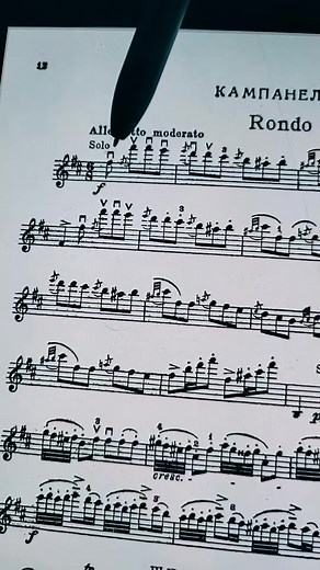 Beautiful Violin Concerto Performance - La Campanella