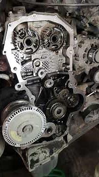 Wet timing belt replacement on Ford transit Eco blue engine #ford #ecoblue #engine #throwback