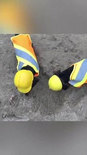 Wiener Dogs Work Construction 🚜🚧 #Dogs #Dachshunds