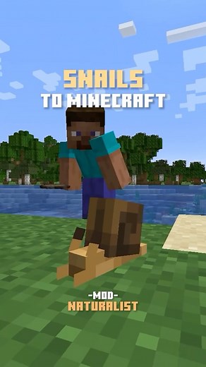 Starfish Studios on Instagram: "Get snails with our pack Naturalist🐌🍃 • Bedrock: “Naturalist Add-On” on the Minecraft Marketplace Java: “Naturalist” on CurseForge • Follow @starfishstudiosinc for more! • 🏷️ #minecraft #minecraftdaily #minecraftdesign #minecraftinspiration #minecraftcreations #starfishstudios #hamsterplus #naturalist #mods #java"