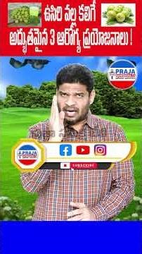 ఉసిరి వల్ల కలిగే అద్భుతమైన 3 ఆరోగ్య ప్రయోజనాలు by CSR #shortsfeed #shorts #trending #viral #telugu