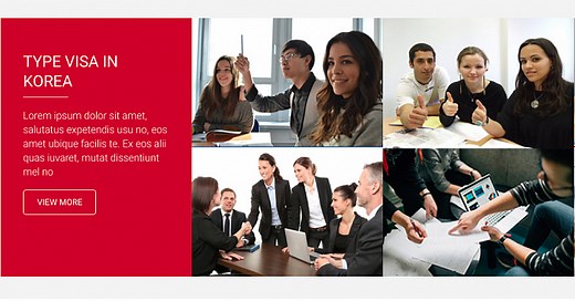 F-5 VISA_Permanent Resident (영주자격: F5 비자)