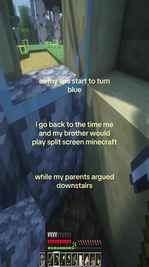 sorry about the fps drop at the end my obs is tweaking #fyp #foryou #minecraft #brother #sibling