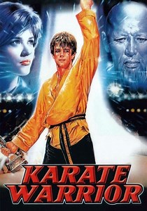 Karate Warrior - movie: watch streaming online
