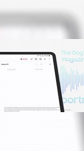 Let Transcript Assist with Galaxy AI turn your recorded lectures or meetings into written notes and summarize them quickly. | Samsung