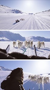 Snow-covered landscapes glide past as you move through the silence. The wind brushes your face, and the steady rhythm of the sled is powered by the dogs’ eager energy — focused, excited, and simply happy to run. Dogsledding is more than a winter adventure. It’s a way to connect with Greenlandic culture and tradition, shaped by thousands of years of life in the Arctic. For over 4,000 years, dog sleds have carried people across snow and ice — and in many places, they still do today. 📹 Filmed with