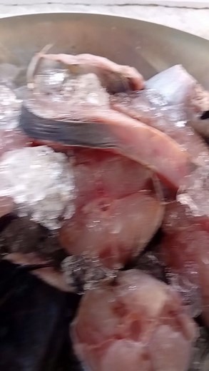 5.2K views · 63 reactions | SIMPSONBAY FISH MARKET Tel 5233213 WE ARE OPEN!! | Sharon Halley | Facebook