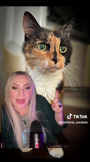 Cat Colors and Their Spiritual Energy Explained