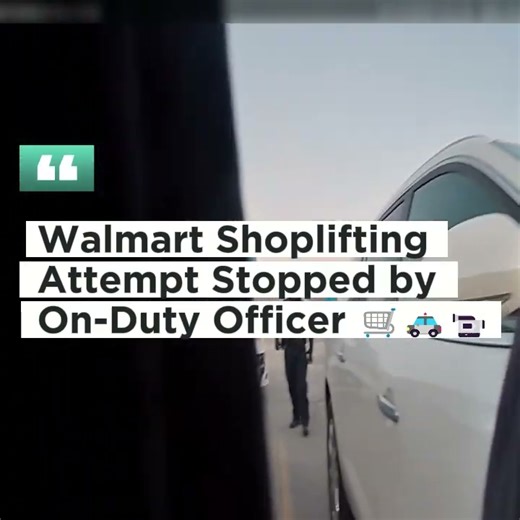 42K views · 590 reactions | Walmart Shoplifting Attempt Stopped by On-Duty Officer  An officer working security at Walmart observed a shopper conceal items inside a purse and exit without paying. Store footage and officer intervention quickly clarified what occurred. Watch to see how retail theft is identified and handled on the spot. #RetailTheft #PublicSafety #KnowTheLaw #PoliceResponse | Public Freakout | Facebook