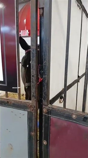 Part 4. Finding Some Horses To Connect With.