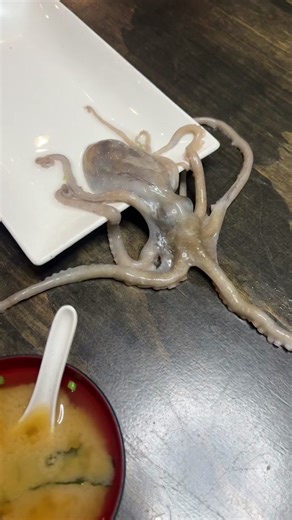 Discovering Raw Octopus: A Korean Culinary Experience