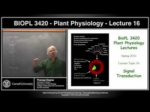 BIOPL3420 - Plant Physiology - Lecture 16