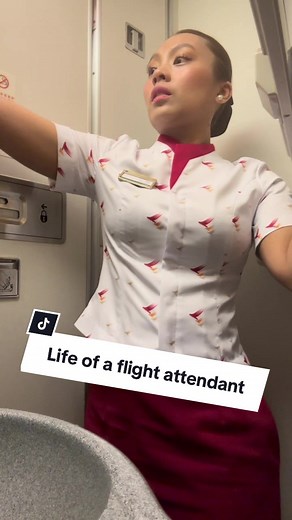 Flight Attendant Toilets: An Inside Look