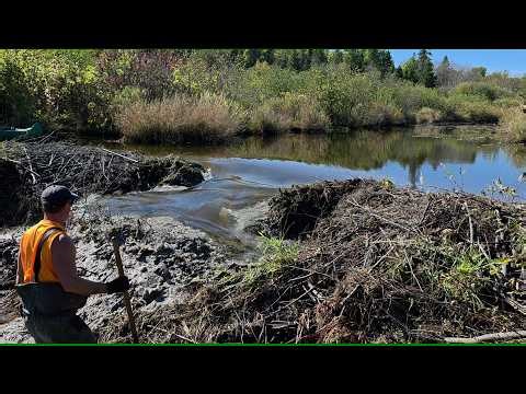 Big Beaver Dam Fail