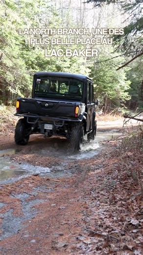 Une petite excursion dans les sentiers moins connus du Lac Baker…