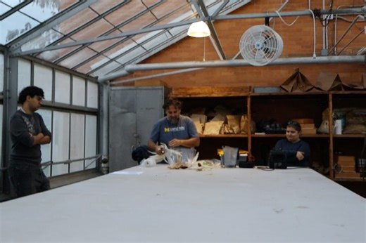 U-M Campus Farm Club on Instagram: "November 21, 2025 workday 🌽 another cornmeal making demo using corn kernels saved by Jeremy’s (Campus Farm Program Manager) grandfather 💜 this time around, we shucked the corn and removed the kernels ourselves! June (VP of Farm Engagement) made awesome and delicious cornbread for us to try!!! Naomi (also VP of Farm Engagement) made a carpool sign a couple of weeks ago and it finally got its picture taken! ⋆.ೃ࿔* :･🌱⋆.ೃ࿔* :･ From last yea