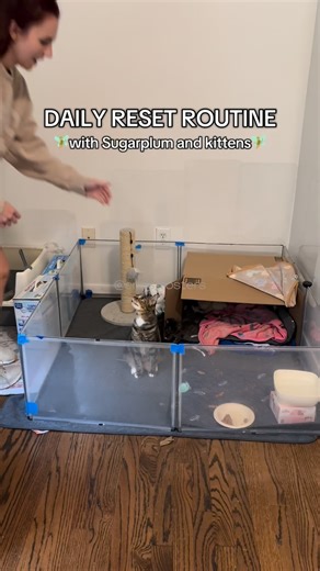 Erin Berger on Instagram: "Quick little reset routine with Sugarplum and bebes! I always want to make sure they are comfy and clean ❤️ Sugarplum is a very clean cat as well and takes great care of their space! Please get your pets fixed and always adopt, don’t shop, so more lives like these can be saved! 😻 #fosterhome #dailyroutine #catrescue #resetroutine #cleaning"