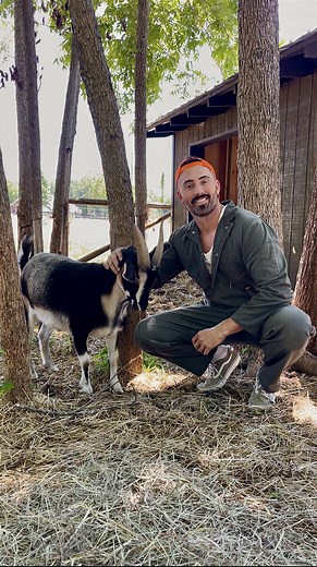 Streamline Your Farm Business with QuickBooks Mobile