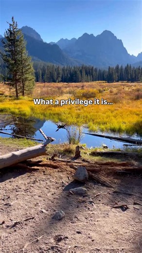 What a privilege it is! 🥰🥰 Stanley, Idaho is one of my absolute fave places in Idaho to visit in the fall! #visitidaho #stanleyidaho #stanleyidahofall #fallinidaho | The Traveling Spud