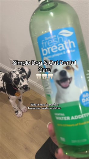 Enhance Your Pet's Dental Care with TropiClean Additives