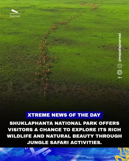 Shuklaphanta National Park jungle safari: wildlife & grasslands guide