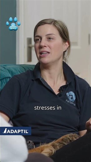Give Your Nervous Dog The Reassurance They Need #petanxiety