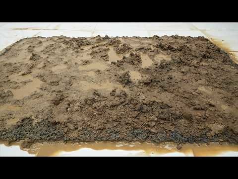 Extreme Muddy Rug Challenge | Scrapping the Thickest Mud Ever