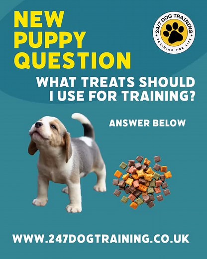 🦴 Best Treats for Puppy Training The best training treats are: 1. Soft & Small Soft treats are easier and faster for puppies to chew. Tiny, pea-sized pieces keep your puppy focused without filling them up. You want to be able to give many rewards quickly during training. Examples: Soft training bites Small pieces of cheese Bits of cooked chicken or turkey 2. High Value (for tough situations) Use super tasty treats for harder tasks, distractions, or new environments. Examples: chicken pieces Tur
