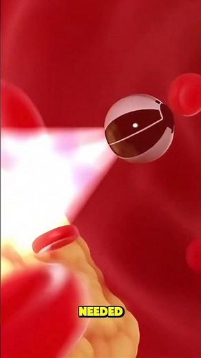 Nanobots Inside the Human Body – Future of Healing