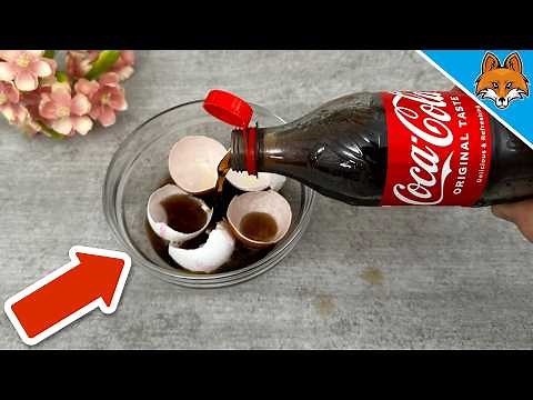 Mische Cola und Eierschalen und STAUNE über das ERGEBNIS💥(Genial)🤯