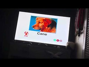 Inostri Amici Animali (Neighborhood Animals) Italian 2003 DVD menu