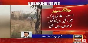 Youth killed in attack of four lions in Lahore's Safari Park