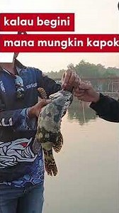 kalau begini mana mungkin kapok