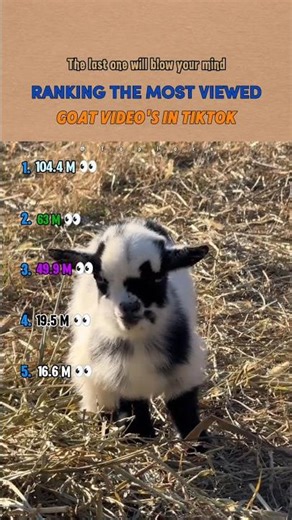 Ranking the Most Viewed Goat Videos on TikTok 🐐😲