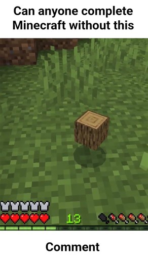 can anyone complete Minecraft without this 😤