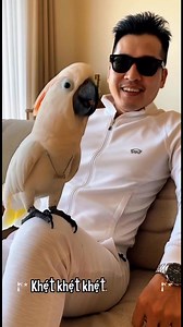 Vẹt Ken Hát Con Cò Bé Bé Rất Siêu Phẩm #vetbietnoi #vet #videoviral #viral #vetken #snow | KBN Trippy Family