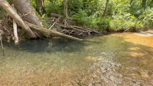We head down to the creek for the afternoon. | Keeping It Dutch