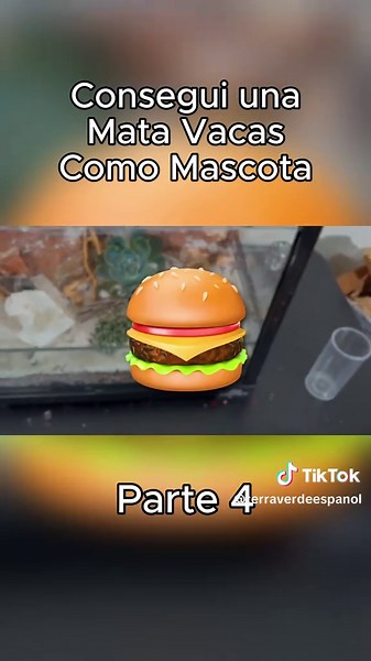 Cuidando a Mi Mata Vacas: Alimentación y Hábitos