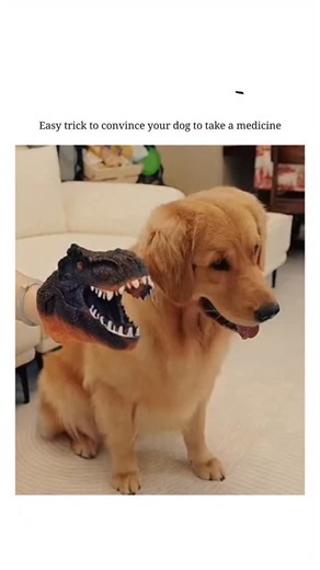 ᴡɪʟᴅ ꜰᴀᴄᴛ | That video is a classic example of "peer pressure" working in the most hilarious way possible! It’s a clever, short clip demonstrating a... | Instagram