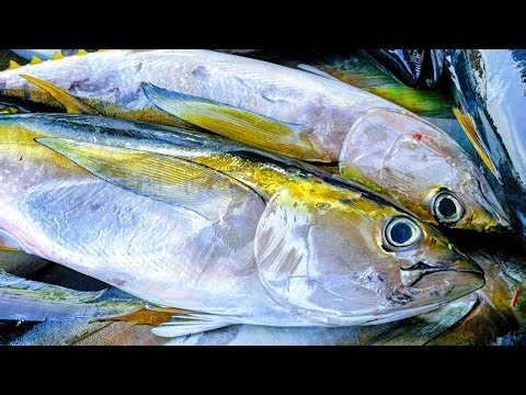 "Tuna Cutting Show, Pisau Tajam, Ikan Segar, Aksi nyata"
