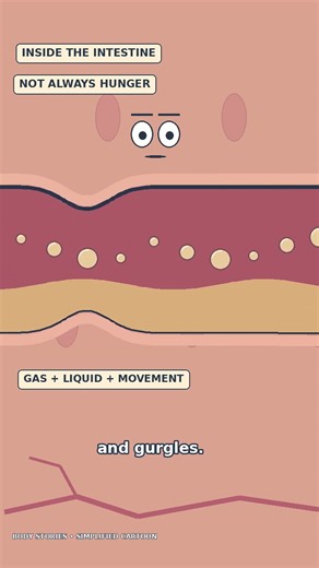 Why Does Your Stomach Growl? It's Not Always Hunger!