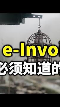 ⚓5件 e-Invoice 你必须知道的事