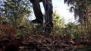 Treasure Hunting Coins & Relics A Relic Hunting Florida Adventure