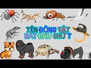Discover Farm Animals: Fun Vocabulary Lessons for Kids!